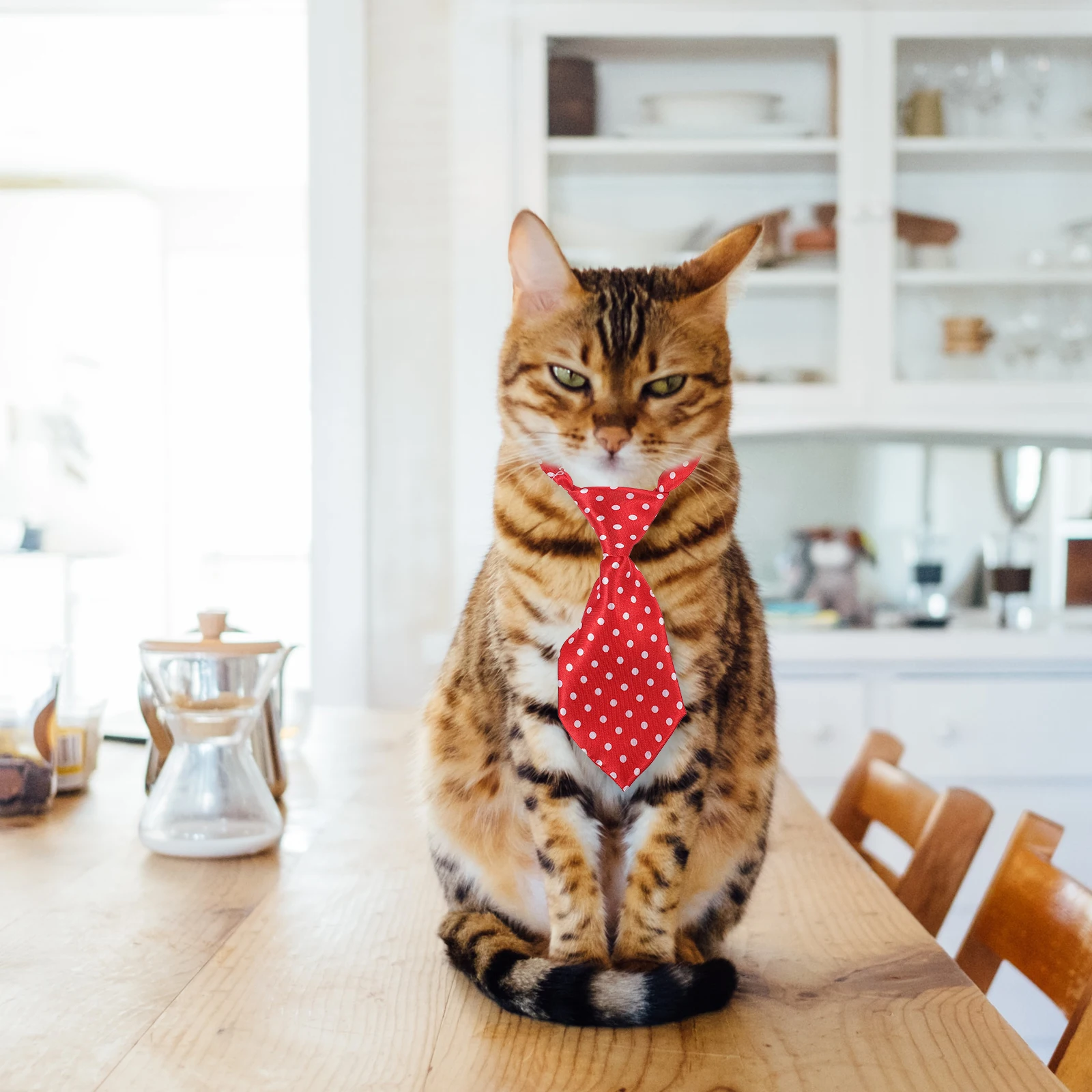 

2 Sets Pet Bow Ties Valentine's Day Dog Cat Accessories Polyester Festival Party Decorations Stylish Design Photo Shoots