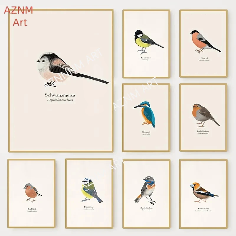 Native Birds Species Collect Illustration Poster Nature Bird Animal Canvas Painting Wall Art Pictures for Living Room Home Decor