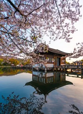 

Для Toyota Land Cruiser 100 9 шт. автомобильные светодиодные внутренние лампы комплект купольной лампы для чтения багажника автомобильные фары сигнальная лампа