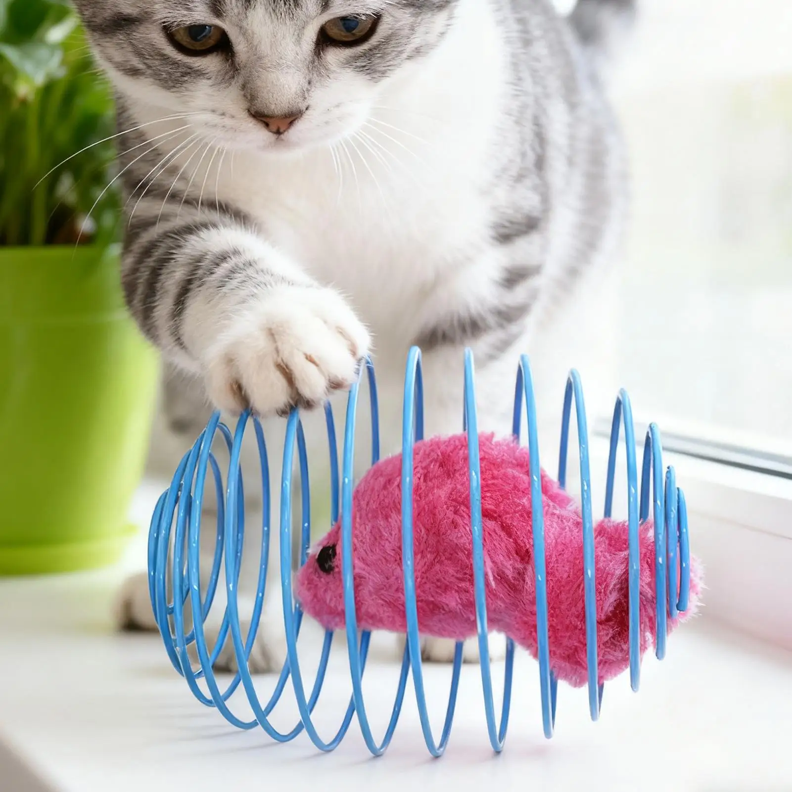 Jouet spirale interactif pour chat, coloré et extensible, pour l'intérieur et l'extérieur, pour l'entraînement, l'exercice et le développement mental