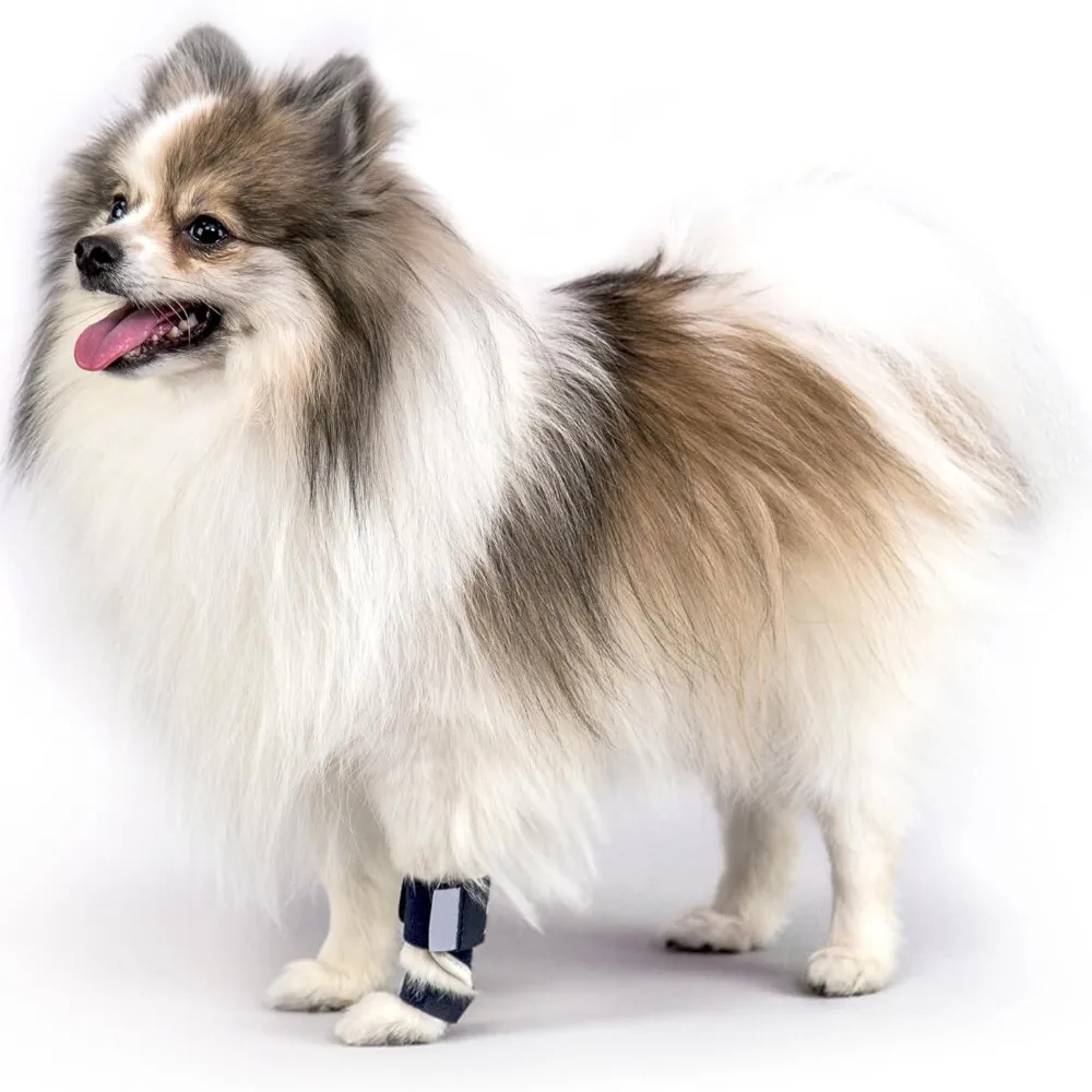 

Pet Protective Gear with Support Strips for Hind Injury Recovery Dog Leg Guards for Walking and Daily Use Durable Design