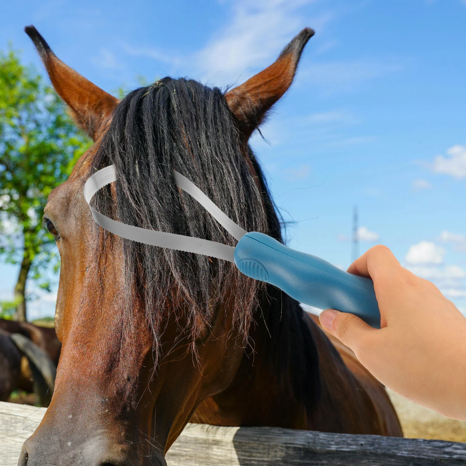 Derramar escova de cavalo aliciamento coceira aparar azul raspador de aço inoxidável noivo