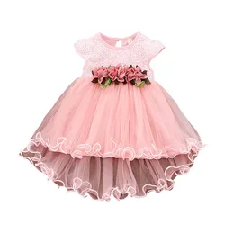 Baby Flower Girl Dress Sleeveless Floral Embroidered Princess Dress Toddler Birthday Party Fairy Tulle Dress