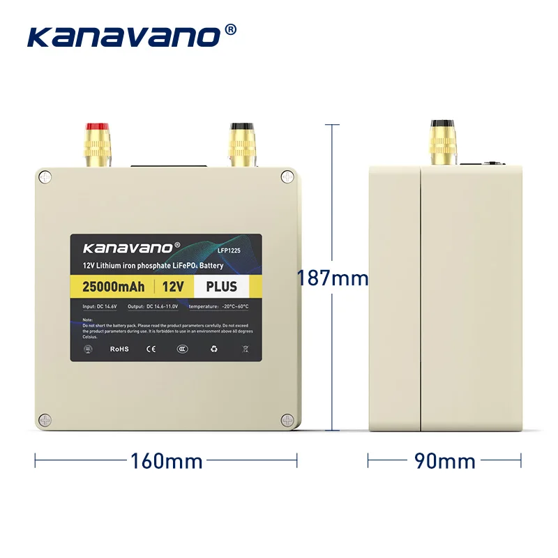 Rechargeable 12V 25Ah LiFePO4 Battery Pack Built-in 12.8V 50A BMS For Golf Backup Power Solar Energy With USB +4A EU/US Charger