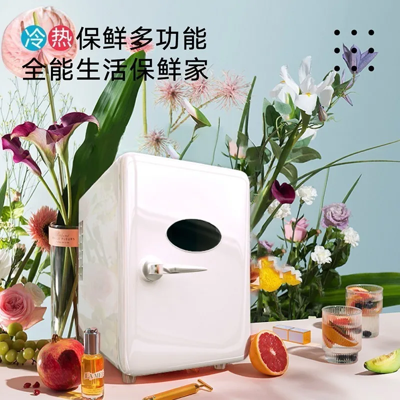 Car Refrigerator Dual Use in Car and Home  Refrigerator/Small Household USB Beauty Refrigerator Household Storage Box Cabinet