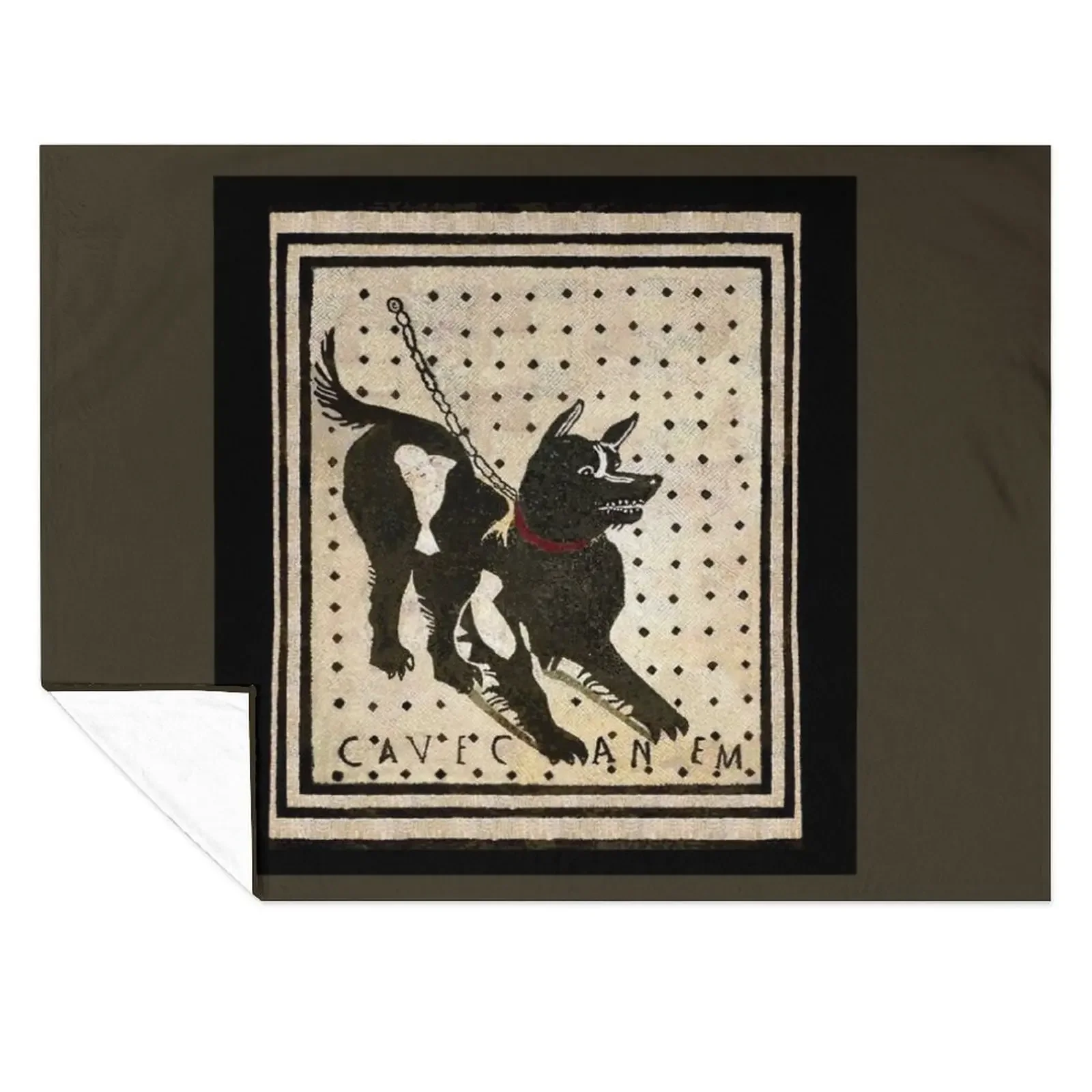 

Beware of dog ( Pompeii dog mosaic ) Throw Blanket Thermal manga anime Softest Blankets