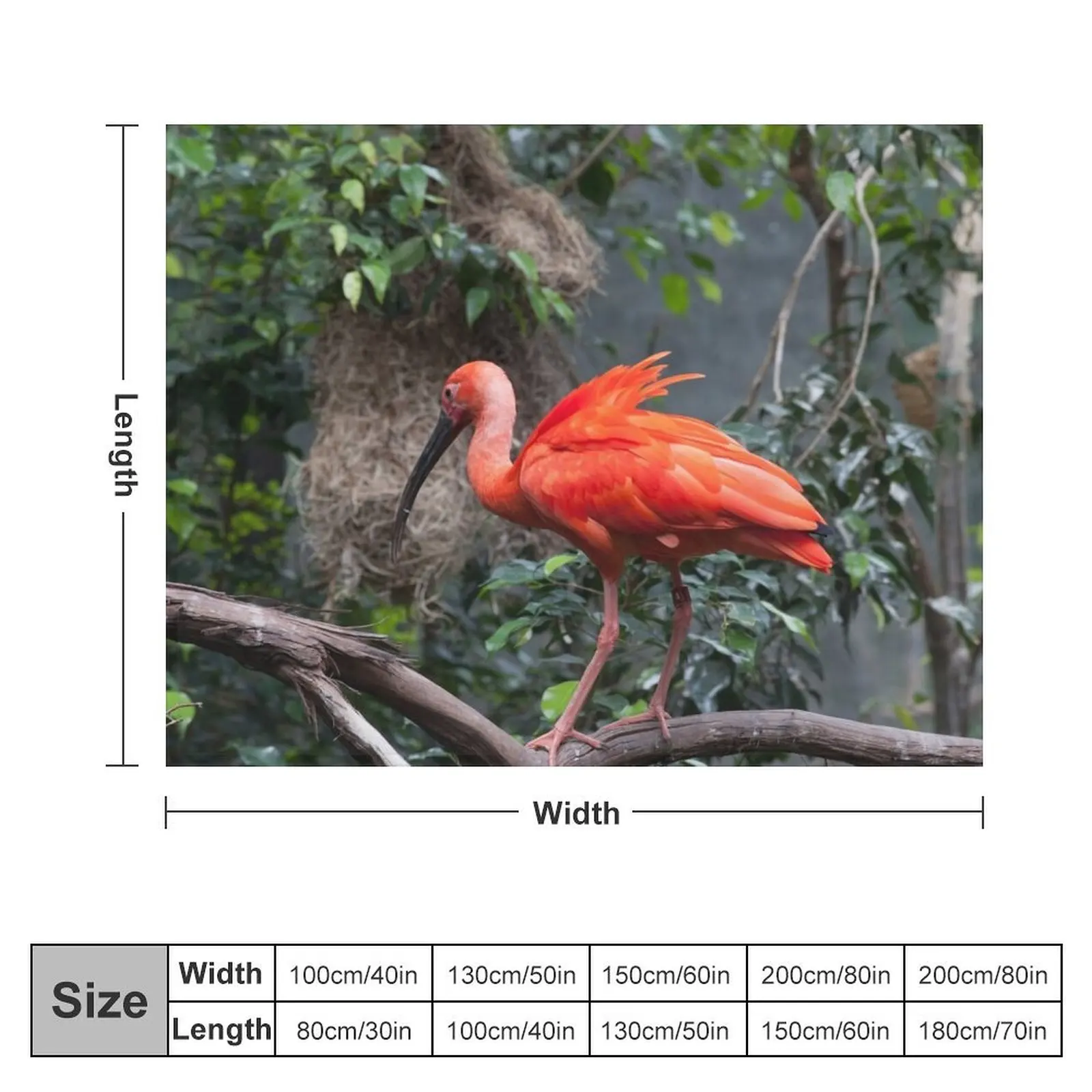 Scarlet Ibis perched on a vine Throw Blanket Custom Soft Beds Beautifuls Single Blankets