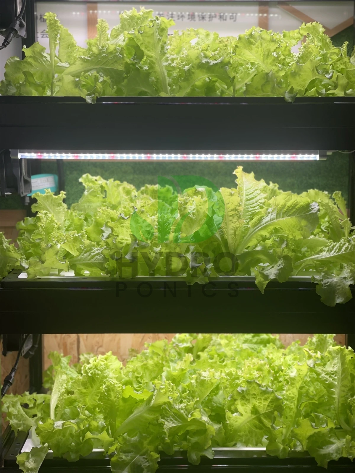 Casa interior inteligente led - Aquaponics Home Kit avaliação e preço