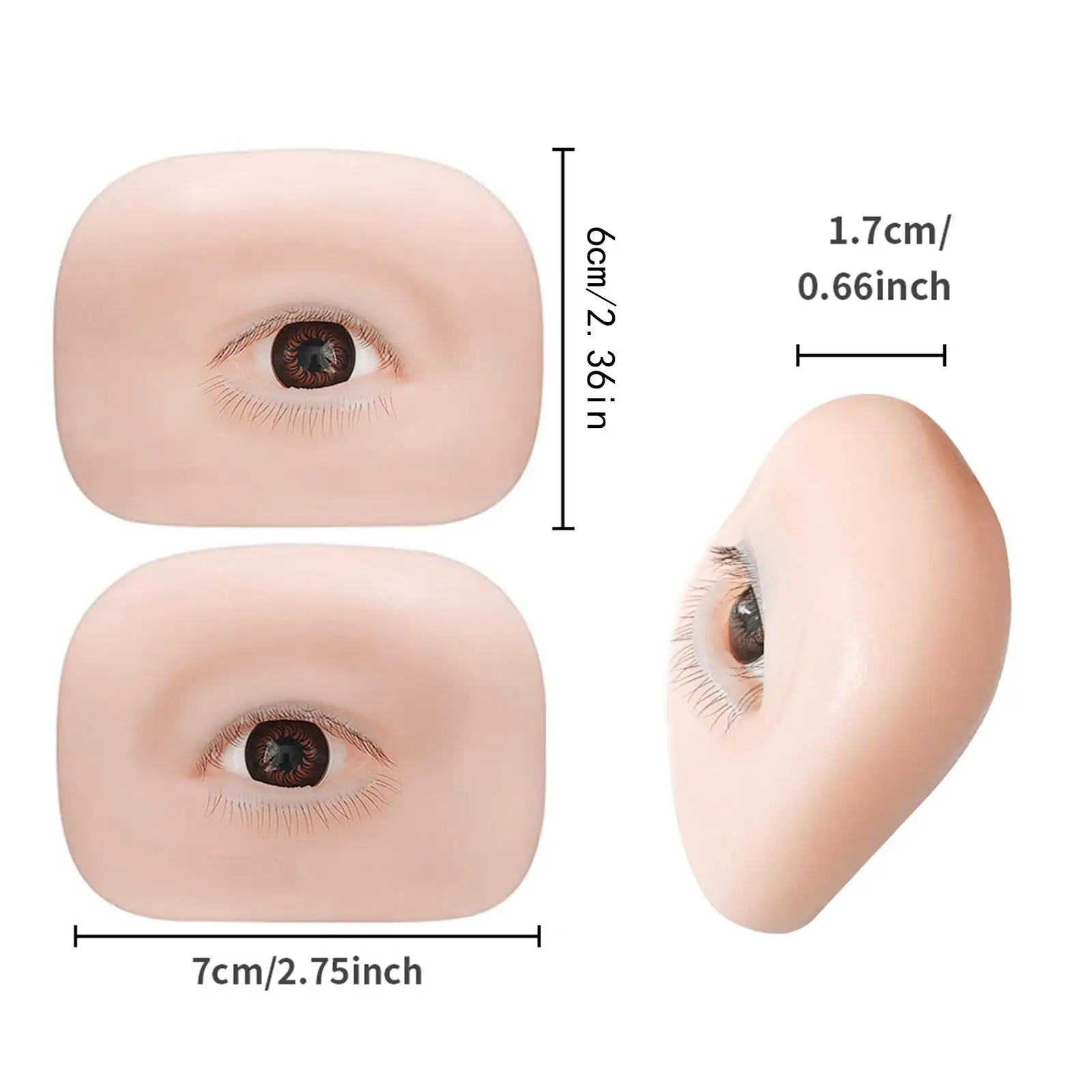 5D シリコーン製フェイクアイモデル 初心者アーティスト向け軽量アイボード