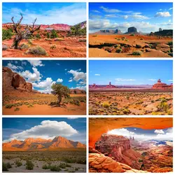 Western Desert Landscape Backdrop Cactus Plant Sand Blue Sky Birthday Party Portrait Photography Background Decor Photo studio