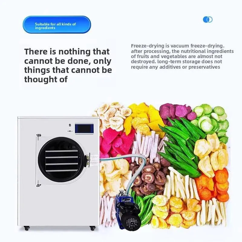 Practical Vacuum Freeze Dryer Cordyceps Bird Nest Pet Strawberry Fruit Vegetable Smart Lyophilizer