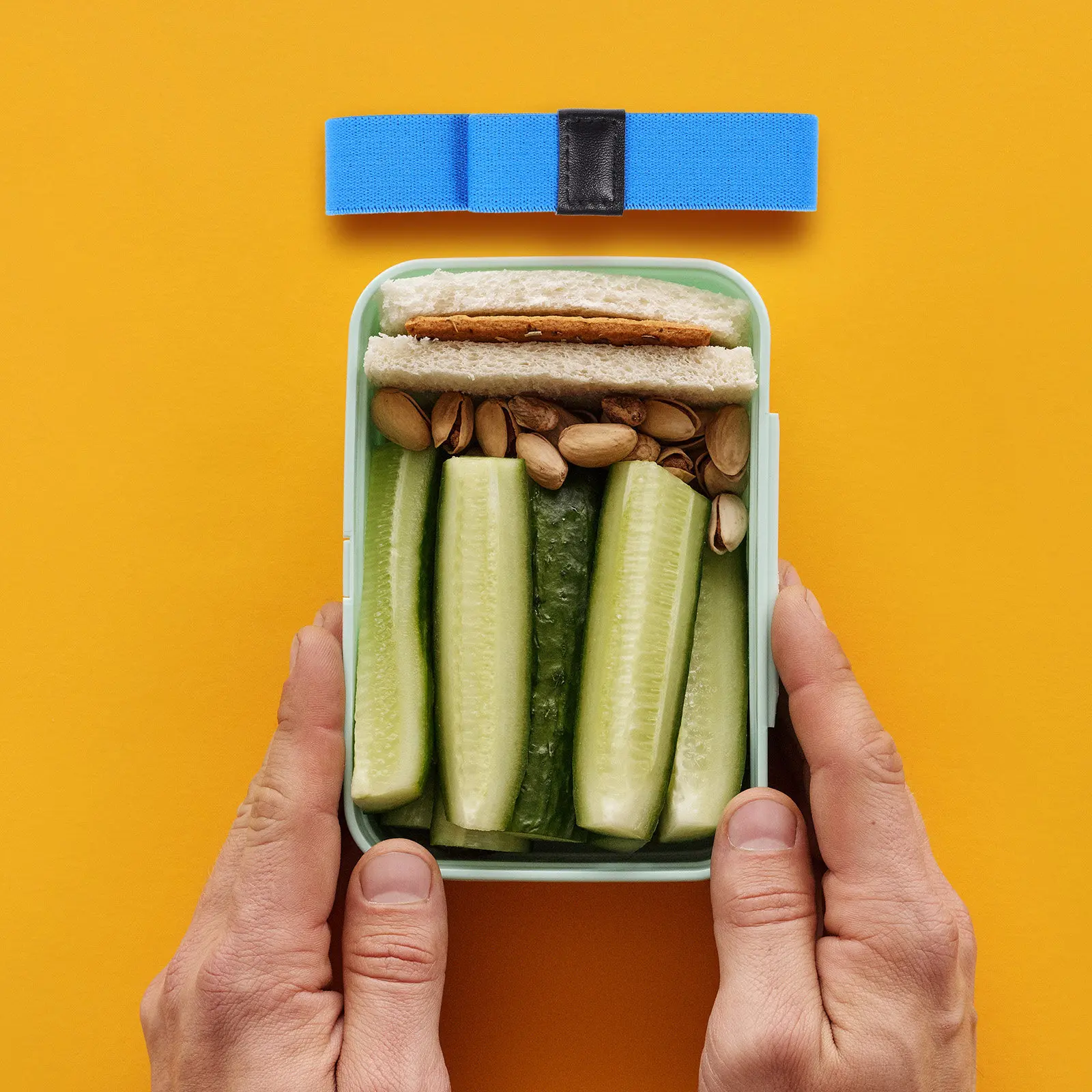 

8Pcs Bento Box Bands High Elasticity Straps for Lunch Case Wear-Resistant Portable Bento Fixing Bands for Travel and Work