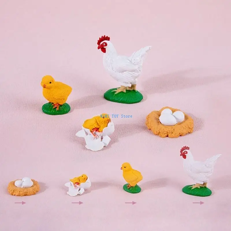 

24be деревянный жизненный цикл Цикл роста Игрушка/Статурок, сопоставляющий игрушечную фигурку для детей