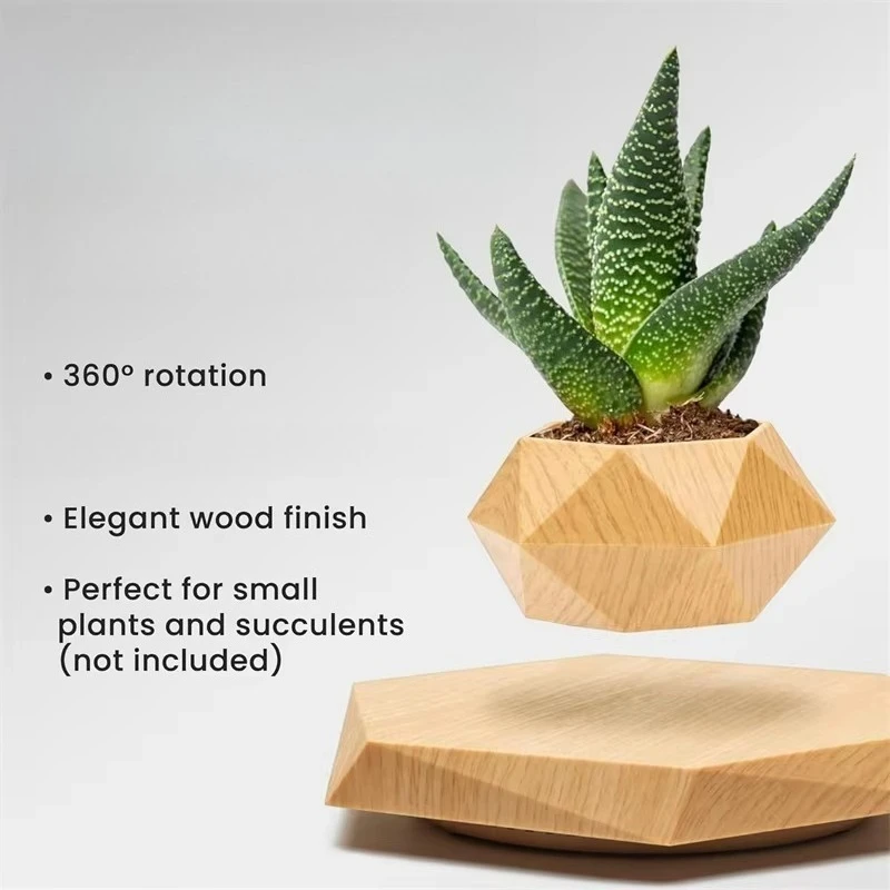 Modern Suspended Plant Holder, Decorative Flower Pot, Desktop Ornament, Creative Gift for Home & Office