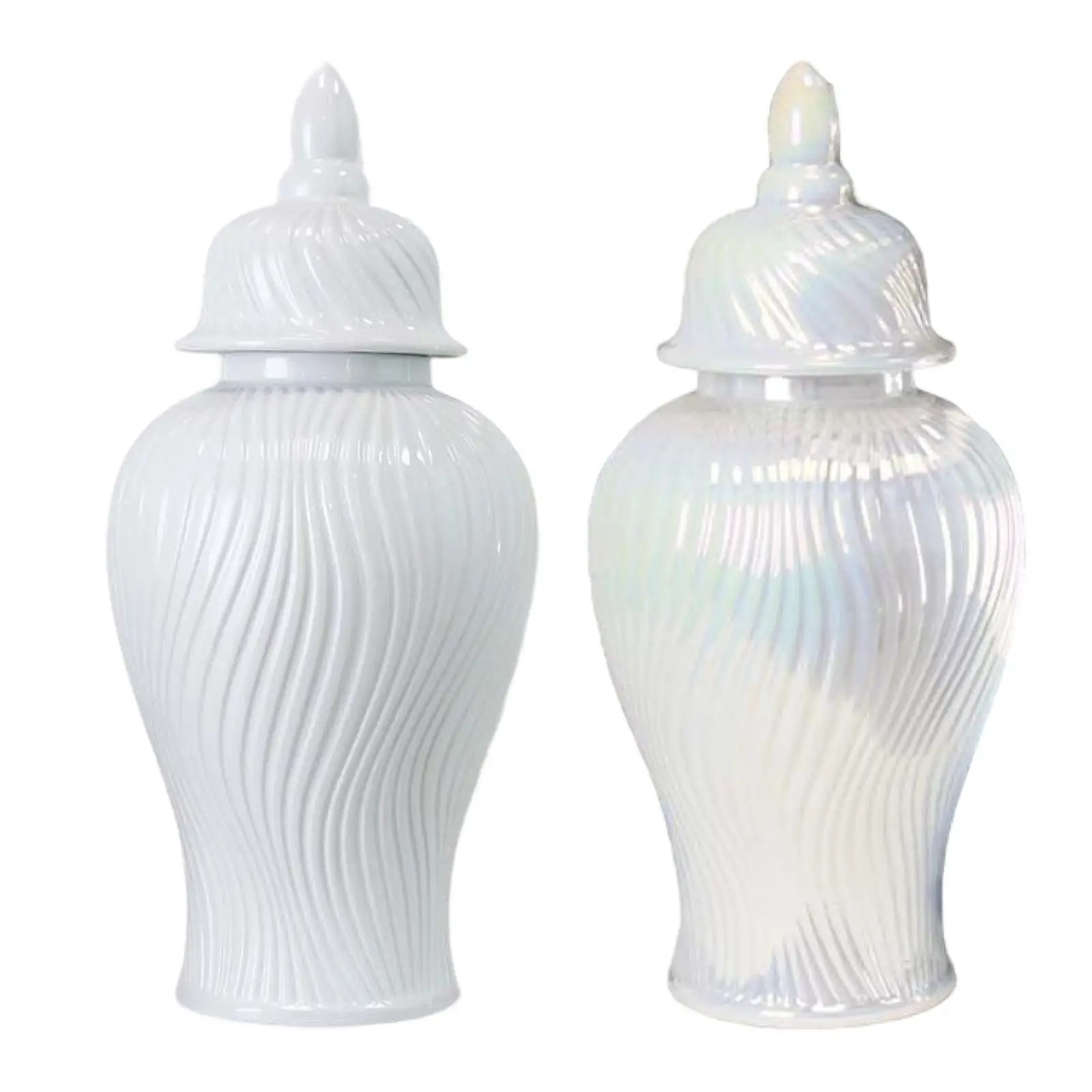 

Ceramic Ginger Jar Storage Jar Table Centerpieces Plants Holder Porcelain Vase