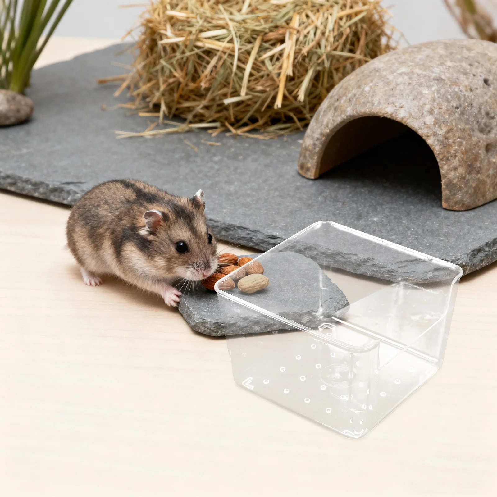

4Pcs Small Animal Sand Bath Box Clear Plastic Hamster Shower Room Stable Antislip Digging Container for Gerbils Mice Lemming