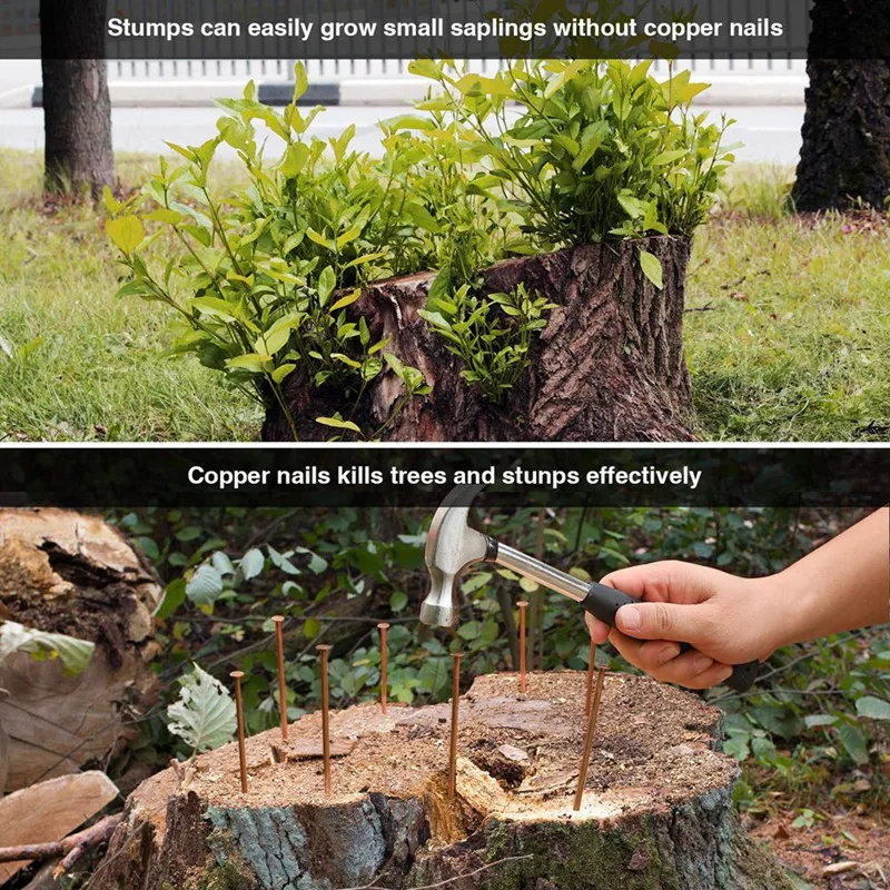 20Pcs Copper Nails for Killing Trees Stump Root 3.5 Inch Long Removal Spikes