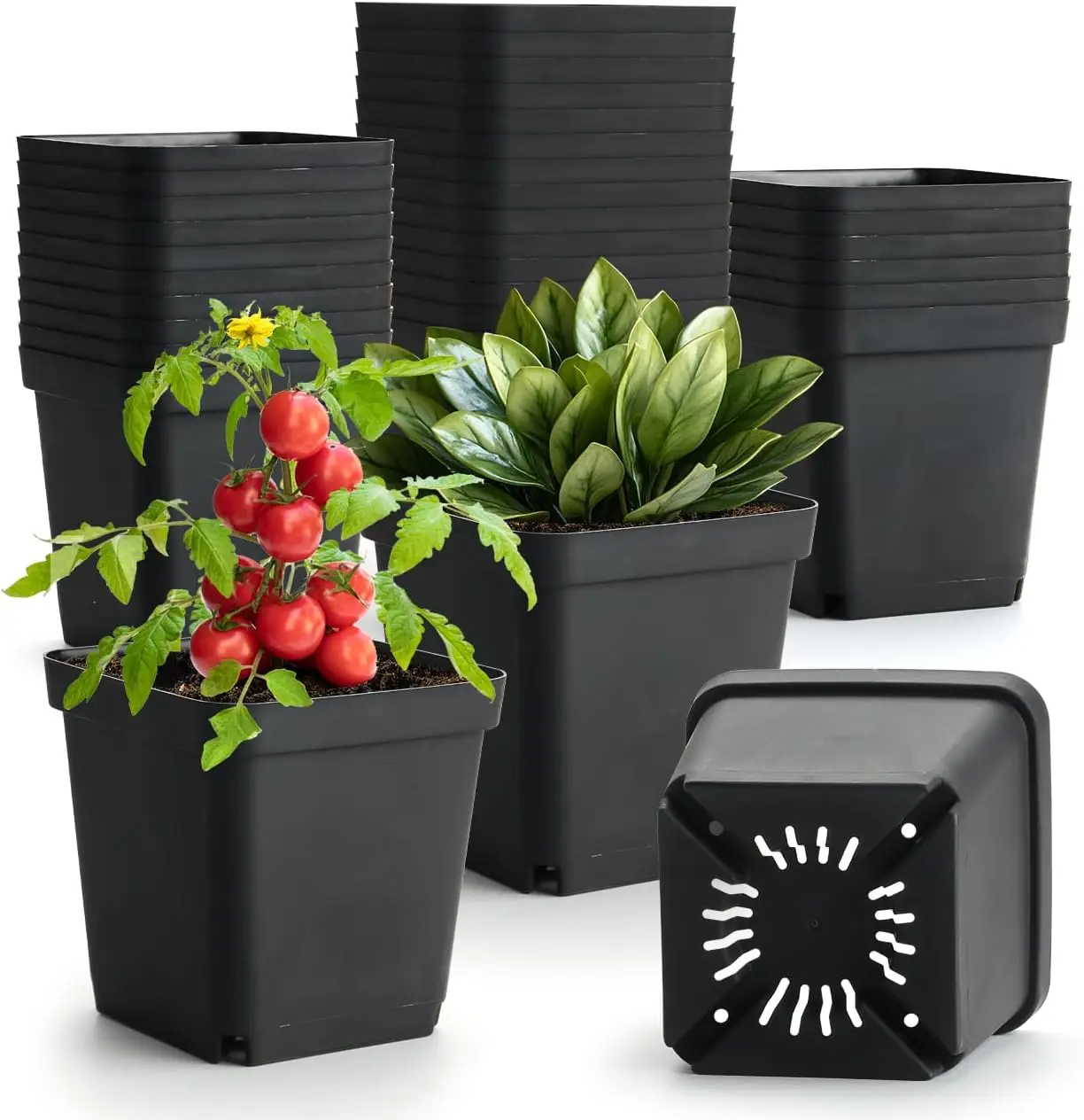 

Square Nursery Pots 5.5 Inch, 50Pcs Plastic Sturdy Reusable Seedling Pots with Drainage Holes, Garden Flower Planters fo