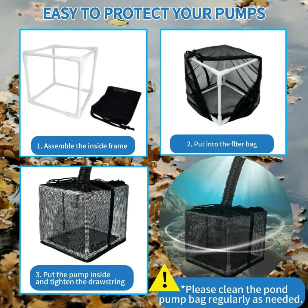 Thumbnail 3 - #40 Ponds Ranking List in 2026