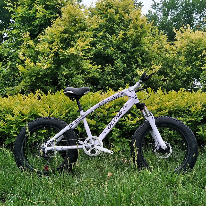 New 4.0 Large Wide Thick Tires All-terrain Mountain Bike Shock Absorbing Dual Disc Brakes for Students Beach Road Snow Bicycle