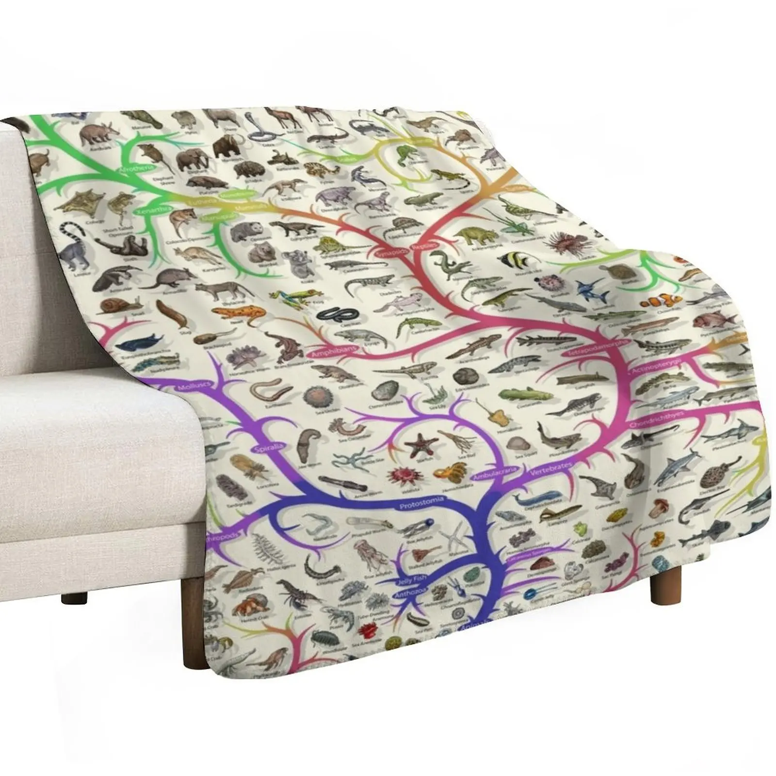 Animal Tree of Life Poster - Evolution - Colour (English Annotations) Throw Blanket Heavy For Baby Summer Blankets