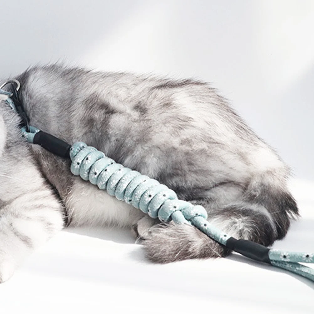 

Cat Harness Adjustable Flower Pattern Light Green Size S Comfortable Neck Strap Safety Lead Leash Outdoor Pet Supplies for Cats