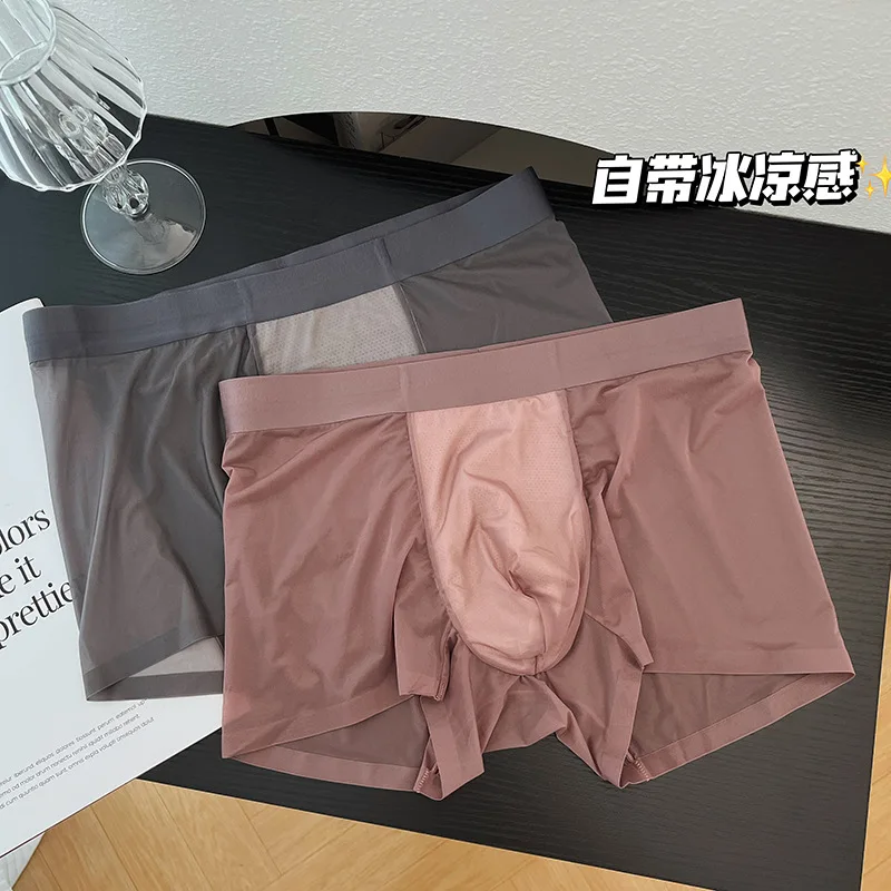 Sexy Sheer Men Elastic Underwears Sports Sexy See Through Ultra Thin Shorts Briefs