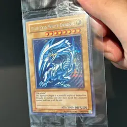 Yu Gi Oh TCG/SER Blue-Eyes White Dragon (DDS-001/1st Edition DDS-001/AC02-JP000/KC01-EN000) DIY homemade English animal cards