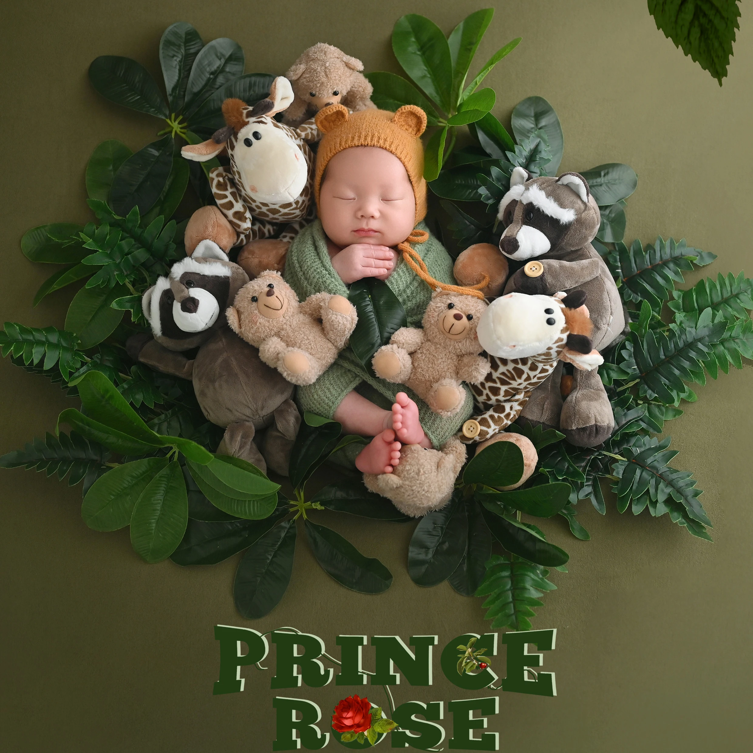 

Newborn Photography Props Animal World Theme Photo Set Knitted Bear Hat Overalls Outfit Wrap Green Plant Baby Shoot Accessories