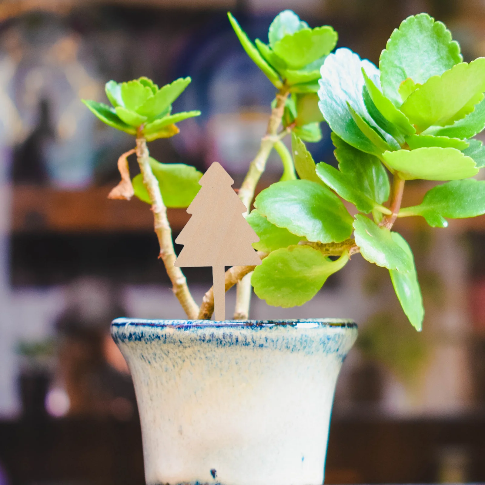 

10Pcs Christmas Tree Plant Labels Bamboo Garden Markers 3.9x1.7 Blank Waterproof Stickers for Herb Vegetable Flower Yard