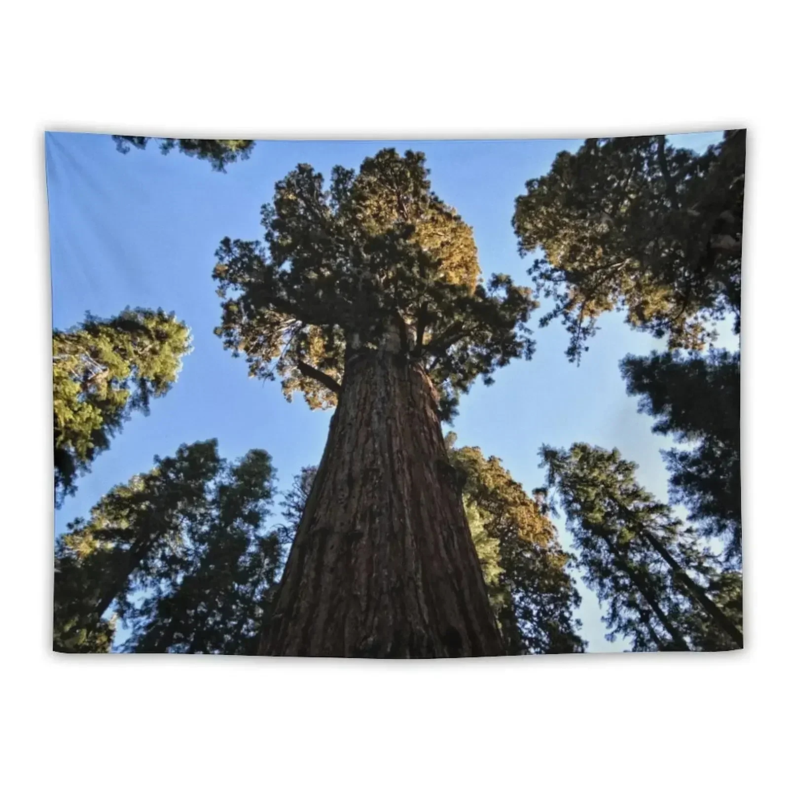 General Sherman Redwood Tree in Sequoia National Park in California Travel Trees Tapestry Living Room Decoration Funny Tapestry