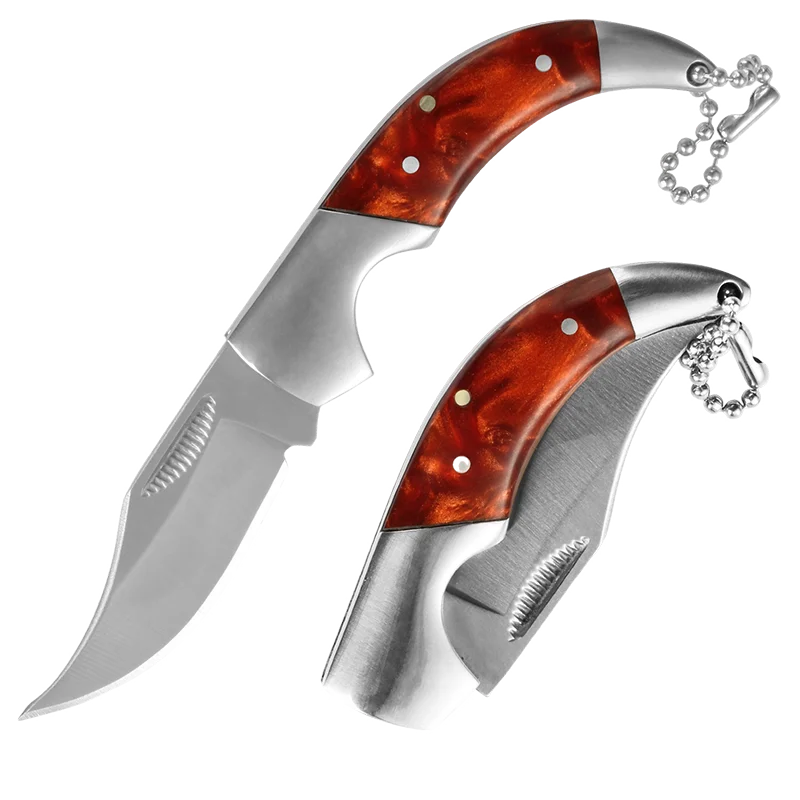 Stainless Steel Folding Knife Camping Knife Barbecue Praing Unpacking Pocket Knife Key Chain Outdoors Fishing Mini Utility Knife