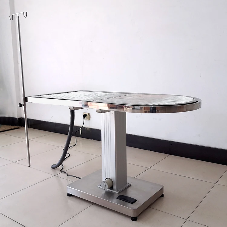 Electric Lift Veterinary Surgery Multifunctional Handling Table for Pet Tooth Cleaning Vet Examining Table for Sale