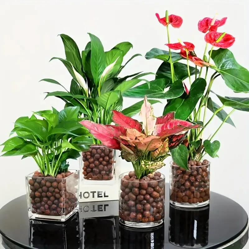 Hydroponische erweiterte Kieselsteine aus Ton für den Garten – ovale Bio-Keramikpellets für Töpfe, Pflanzgefäße, Orchideen, Sukkulenten und Bodenablauf – Detail 5
