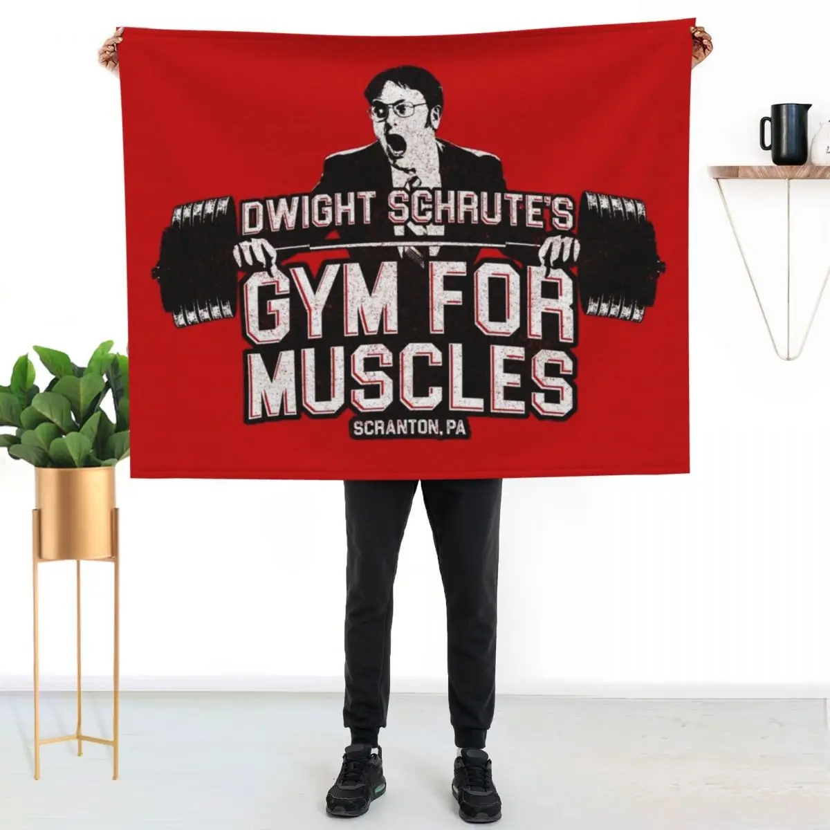 Dwight Schrute's Gym For Muscles Throw Blanket Softest Decoratives Picnic Shaggy Luxury Brand Blankets