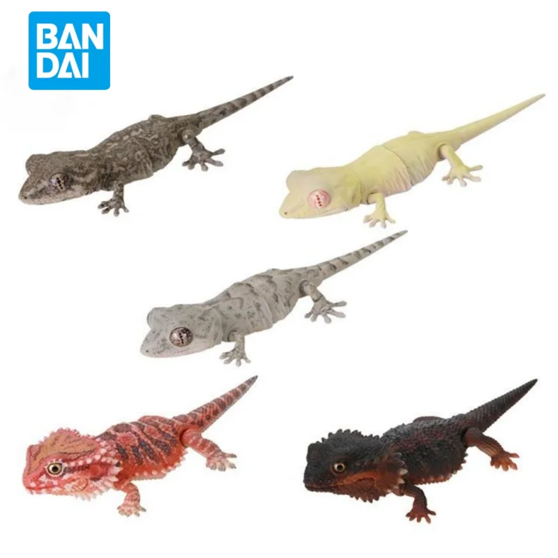 

In Stock Original BANDAI Gashapon Biological Encyclopedia Collection Gecko Pogona Vitticeps Anime Figure Birthday Present