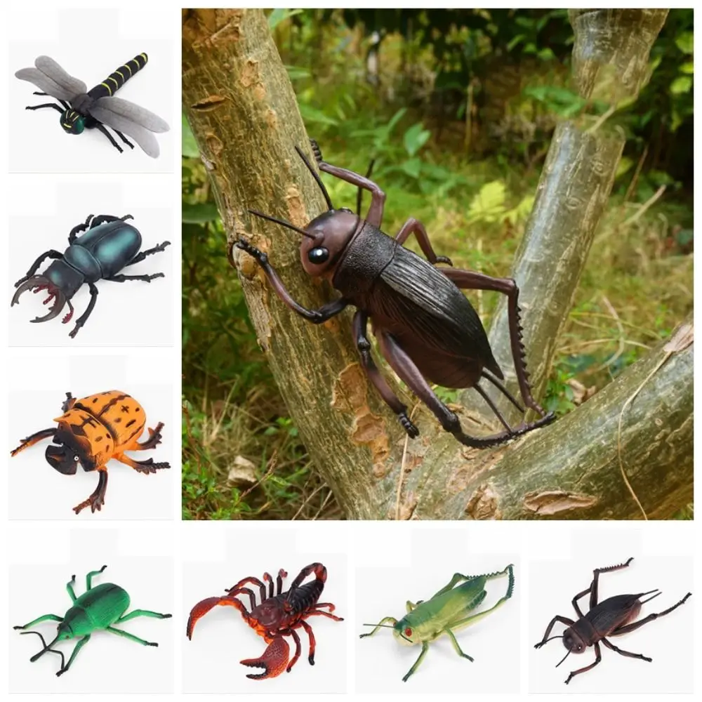 

Simulation Wildlife Model Ornament Realistic Insect Figure Child Educational Toy