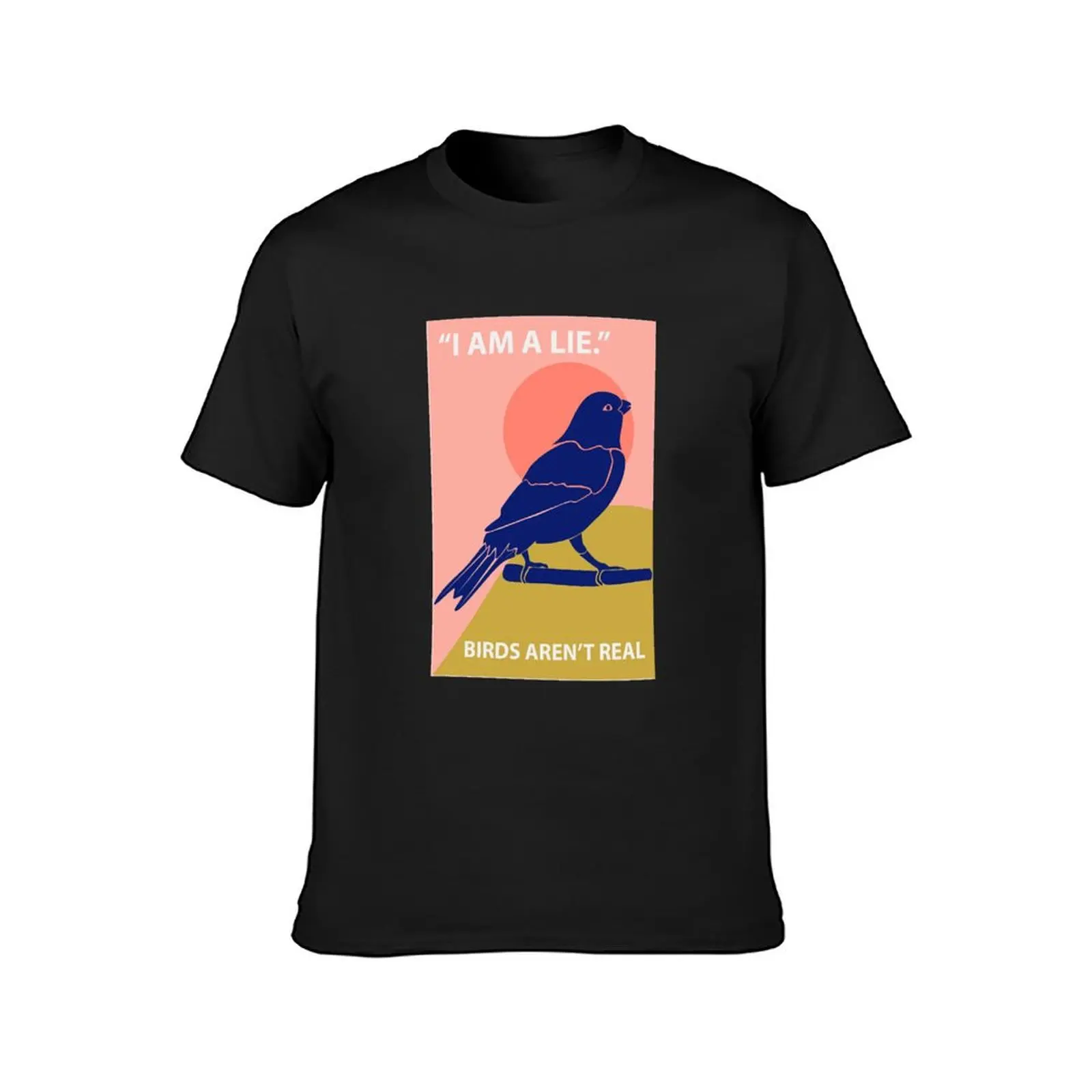 Birds Aren’t Real T-Shirt korean fashion customs design your own blacks men clothings