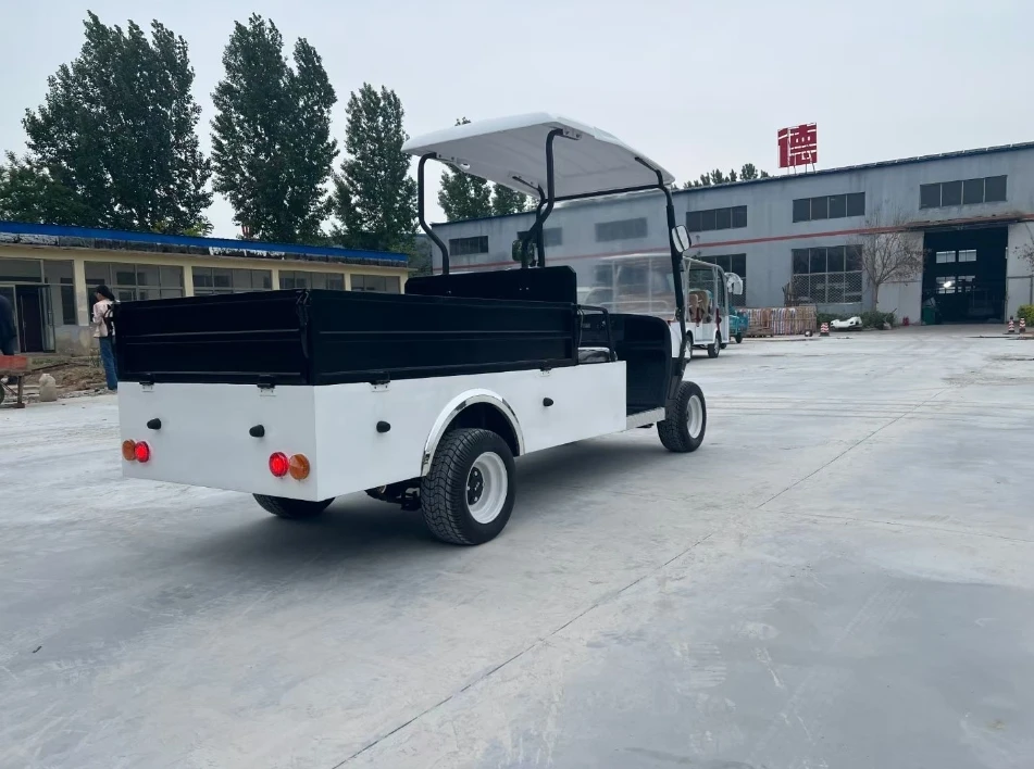 شاحنة عربة جولف كهربائية بمقعدين مع دلاء شحن 48 فولت 60 فولت 5 كيلو وات محرك فولاذي متوافق مع سيارة النادي