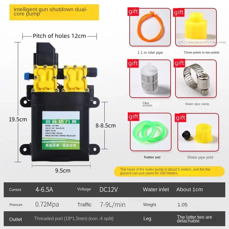 12 Volt Strong Power Intelligent Double Pump 12V Sprayer Modified Double Pump High Pressure Spray Car Wash Water Pump