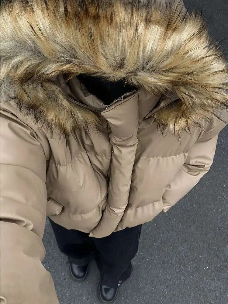 Рисунок 6 - LUZHEN, зима 2024