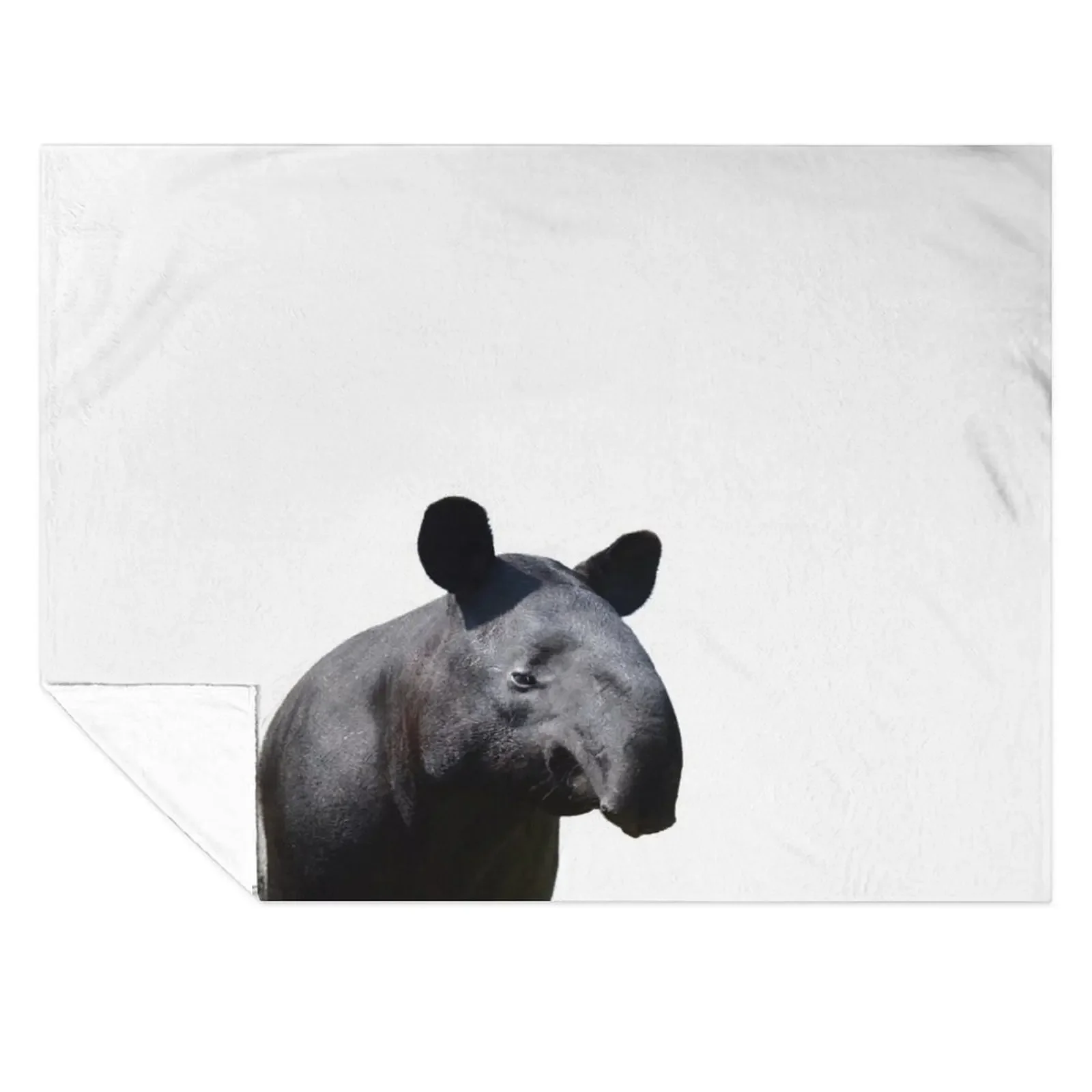 

The Most Handsome Tapir in the World Throw Blanket sofa bed Sleeping Bag Custom Luxury Brand Blankets