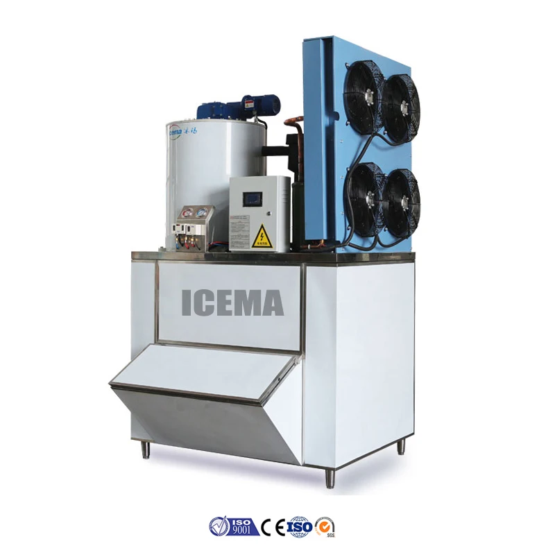 Bing Su Commercial Origin Manufacturer Small Snow Flake Ice Maker Machine 20kg 200kg 2T A Day For Fish