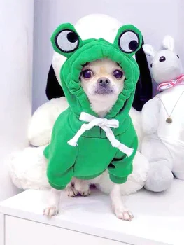 Cute Frog Dog Sweater 1