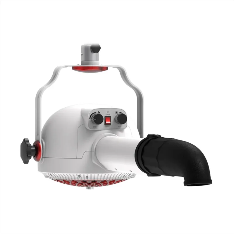 Pembuatan Profesional Mesin Penarik Rambut Hewan Peliharaan Pengering Rambut Pengering Rambut Penata Rambut Anjing Kucing Ion Negatif Vertikal