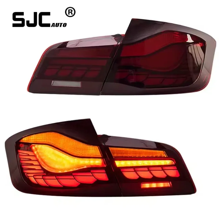 SJC Auto for BMW 5-Series F10 F18 Taillights Assembly 11-17 Modified GTS Style LED Rear Lamps Dragon Scale Daytime Running Light