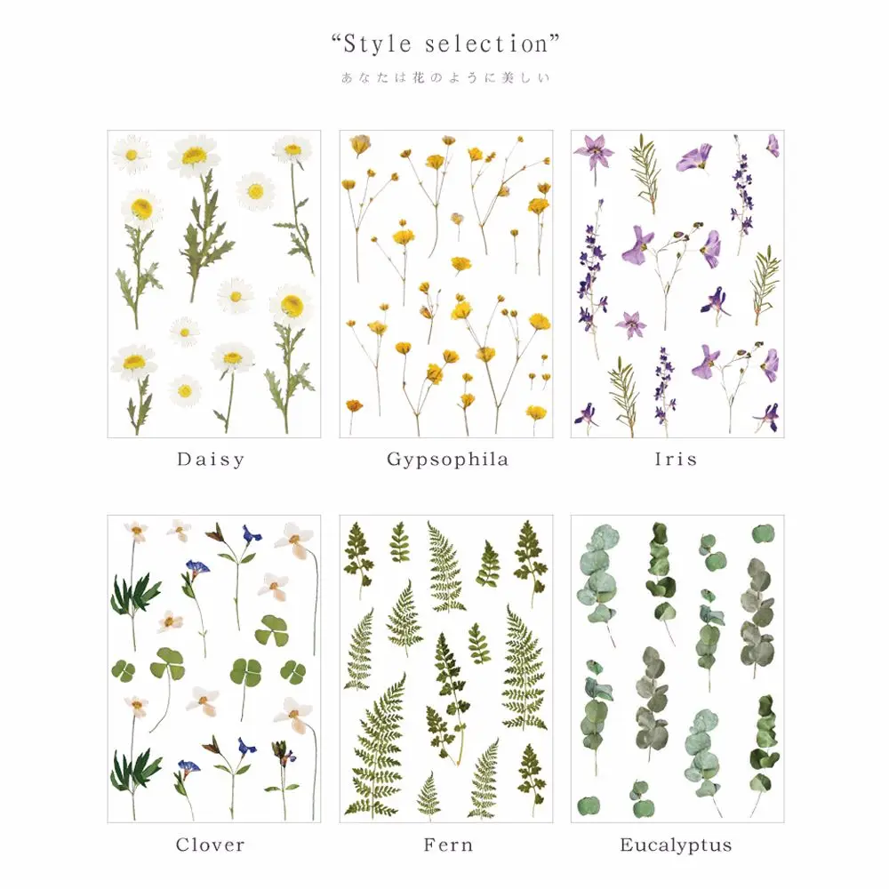 Flowers Leaves Sticker Iris Flower Natural Plants Daisy Deco Sticker Clover Handbook Sticker Daisy Sticker Transparent  Sticker