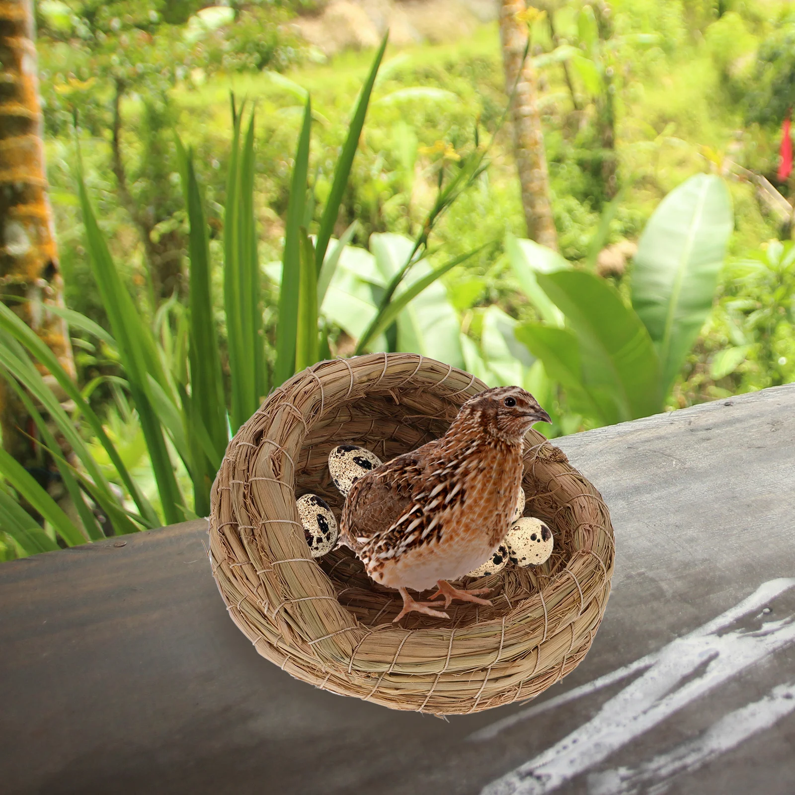 

2 Pcs Straw Woven Coop Chicken Laying Nest Accessories Decorate Pet House Bed Small Animals