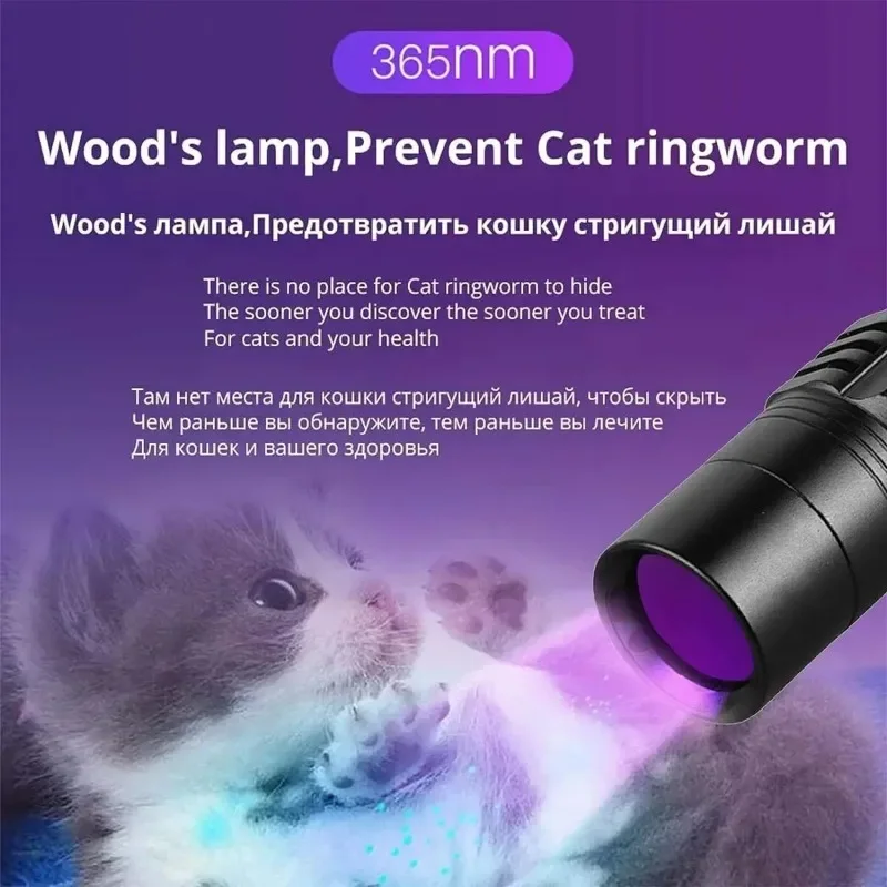 5W UV 365nm Flashlight USB Rechargeable Filtered LED Ultraviolet Inspection Lamp Pet Pee Urine, Rocks Gem Money Detector