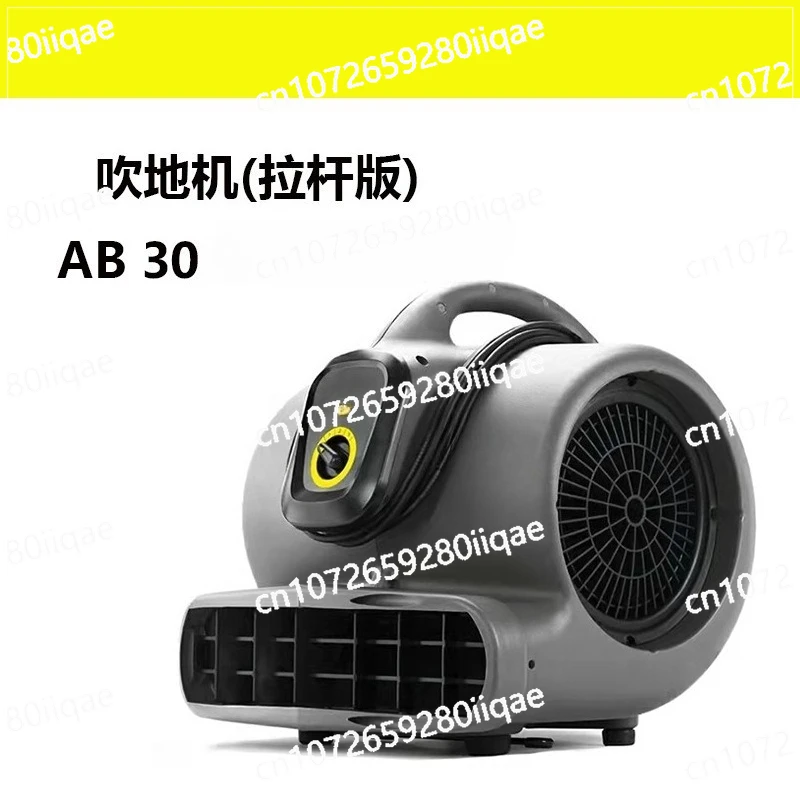 Hot and Cold Air Dryer AB30 Floor Dryer Dehumidifier Blower for Hotel Floor Carpet